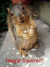 happy squirrel.jpg