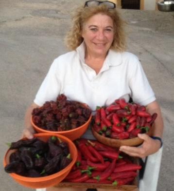 Harvest of Chilis.jpg