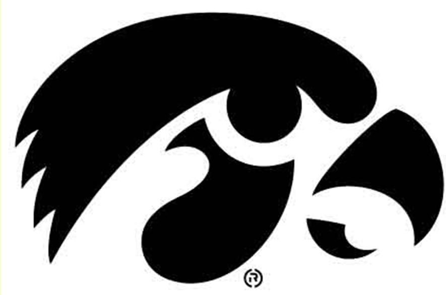Hawk Head Stencil.jpg