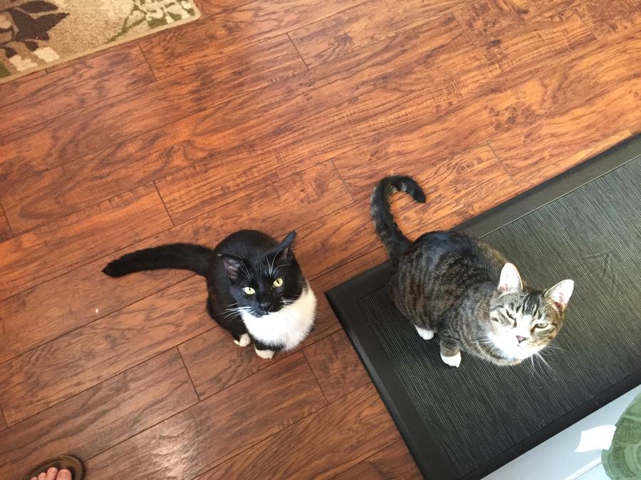 Helpers.jpg