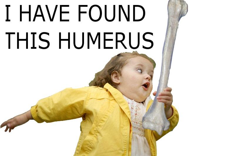 Humerus.jpg