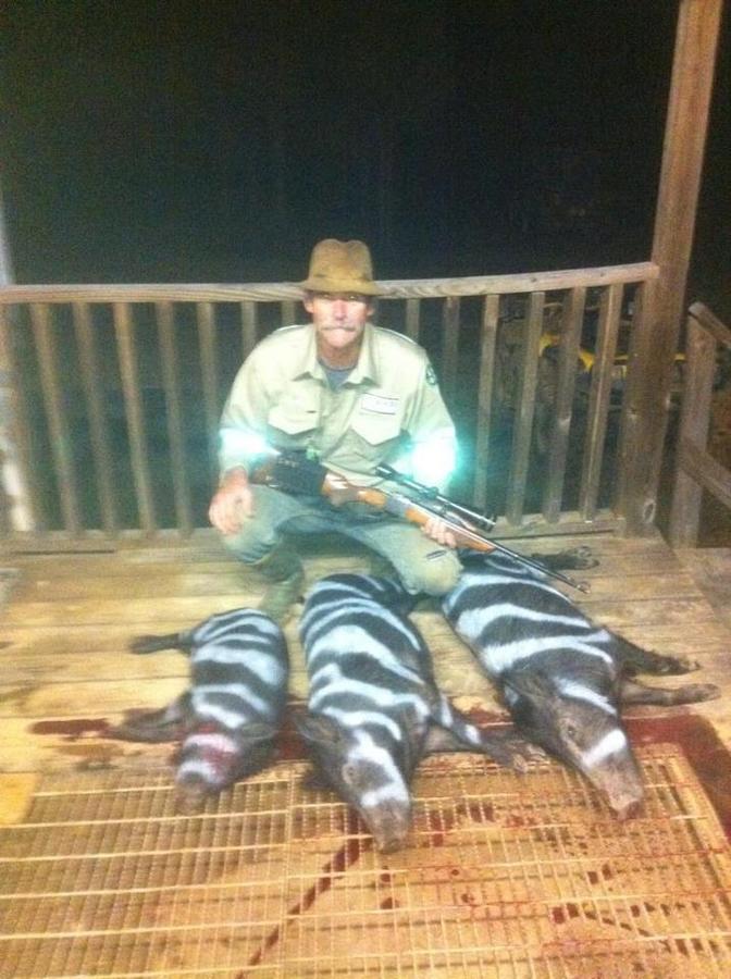 hybrid hogs.jpg