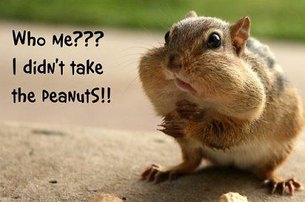i-dont-take-peanuts.jpg