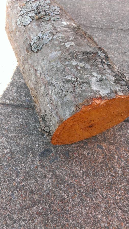 IMAG0063.jpg
