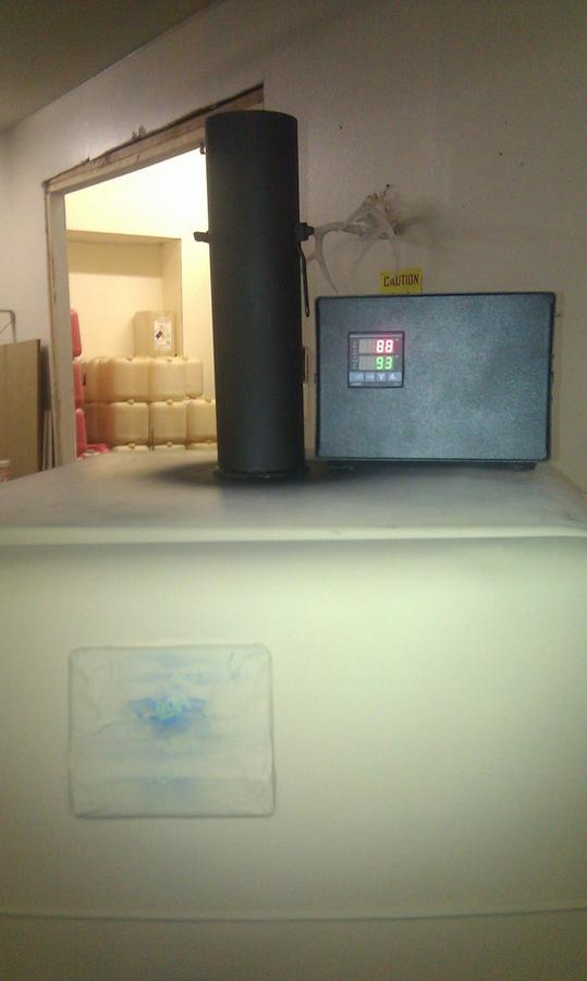 IMAG0094.jpg