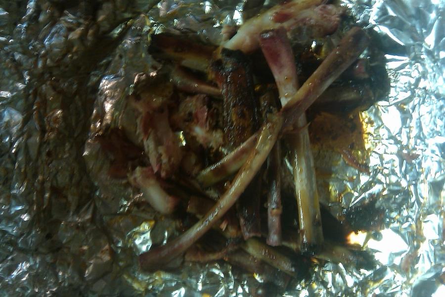 IMAG0128.jpg