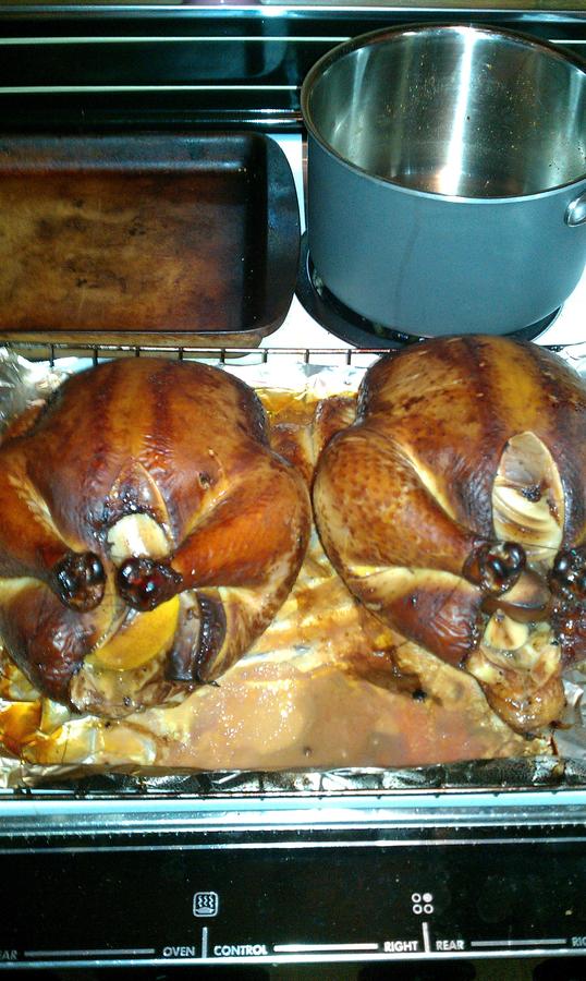 IMAG0157.jpg