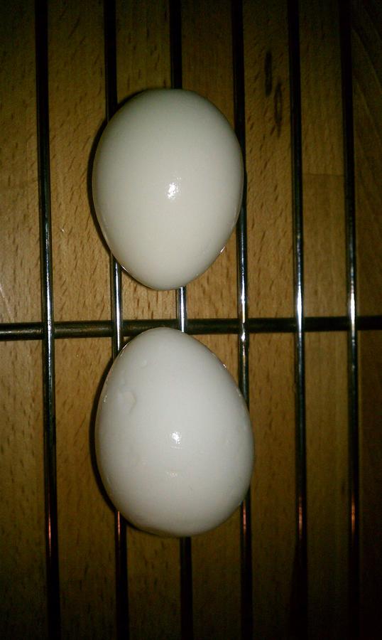 IMAG0164.jpg