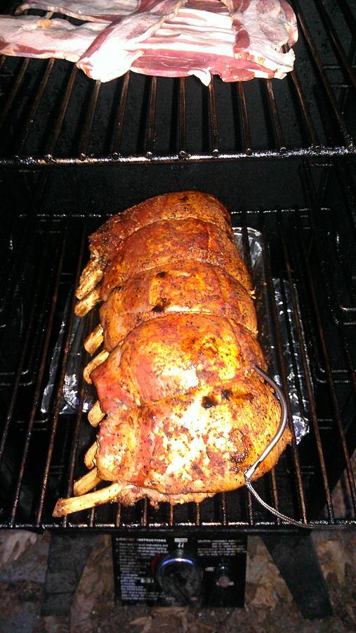 IMAG0395.jpg