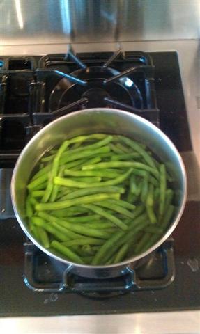 IMAG0401 (Small).jpg