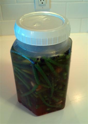 IMAG0402 (Small).jpg