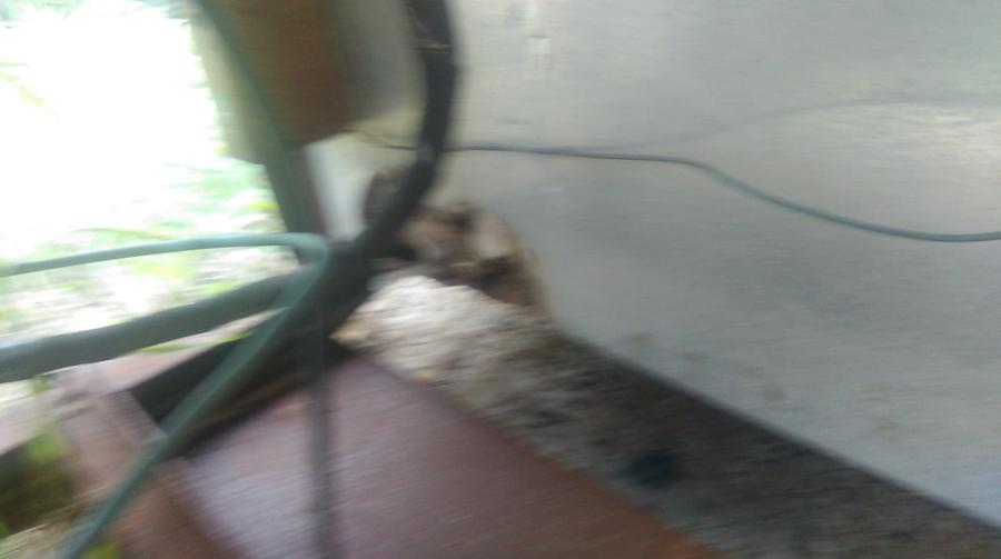 IMAG0467.jpg