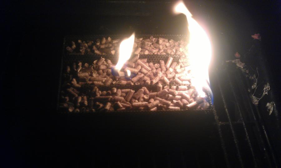 IMAG0662.jpg