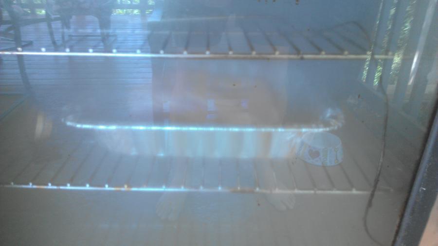 IMAG0766.jpg