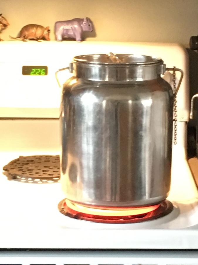 image.jpeg