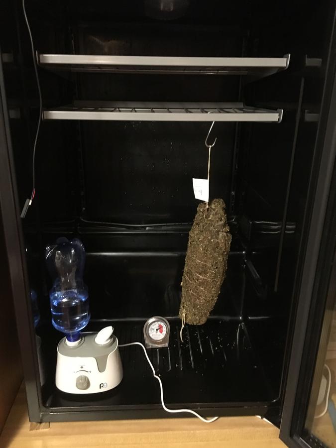 image.jpeg
