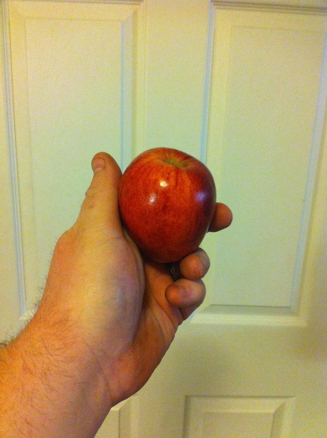 image.jpg