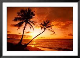 imagesCAQ0GY74.jpg