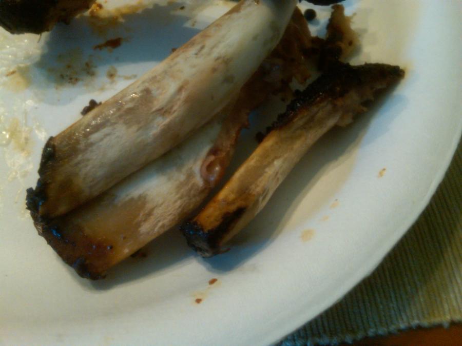 IMG-20120825-00141.jpg