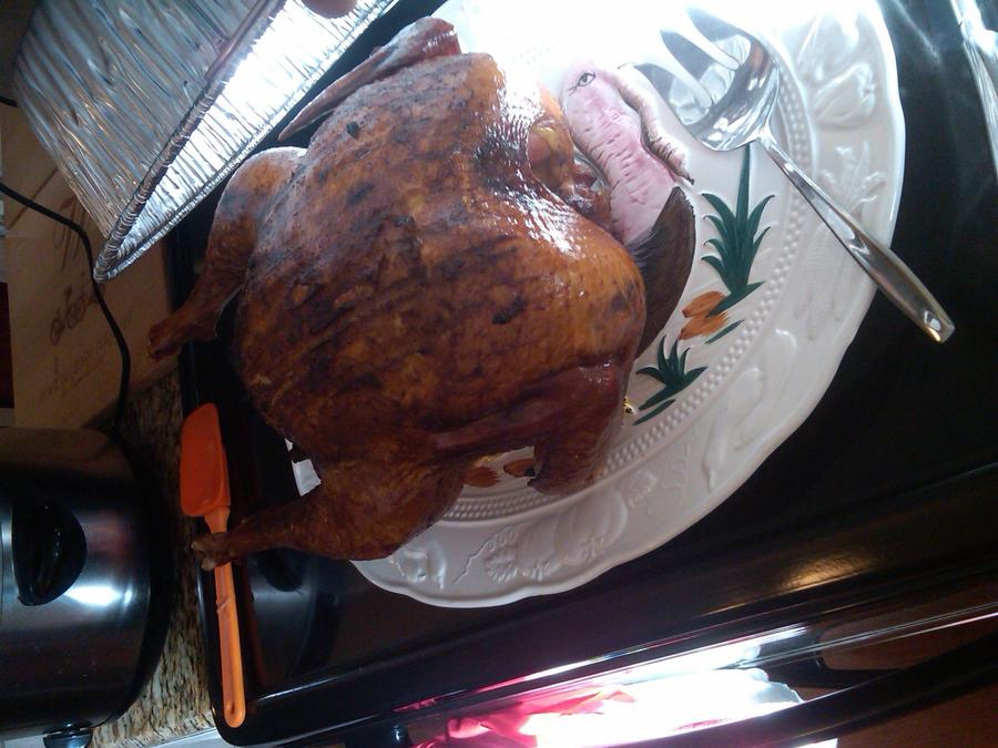 IMG-20131128-00164.jpg