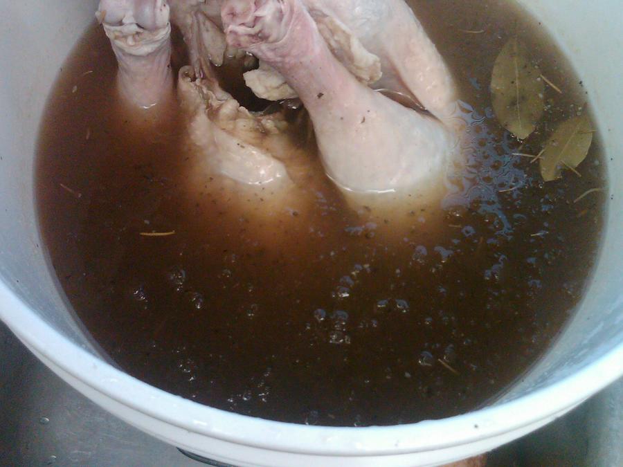 IMG00002-20101125-0841.jpg