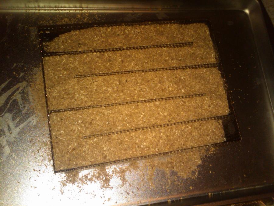IMG00080-20110123-0542.jpg