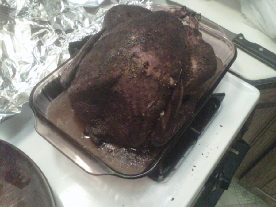 IMG00250-20101120-1636.jpg