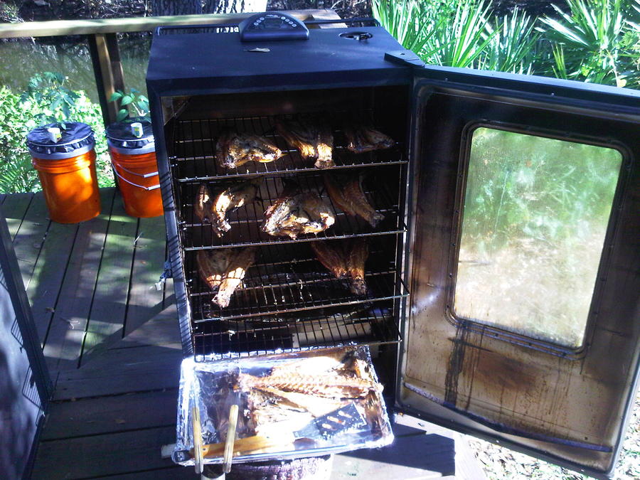 IMG00254-20120401-1722.jpg