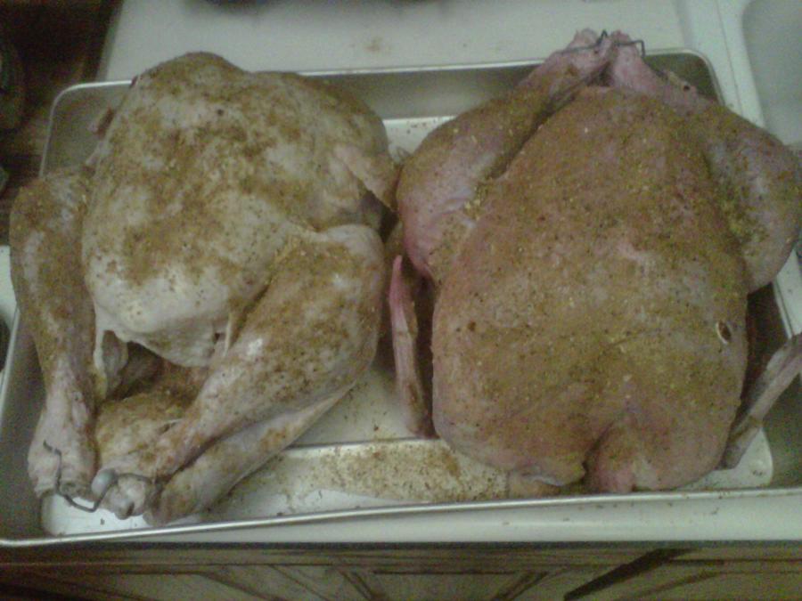 IMG00257-20101125-0519.jpg