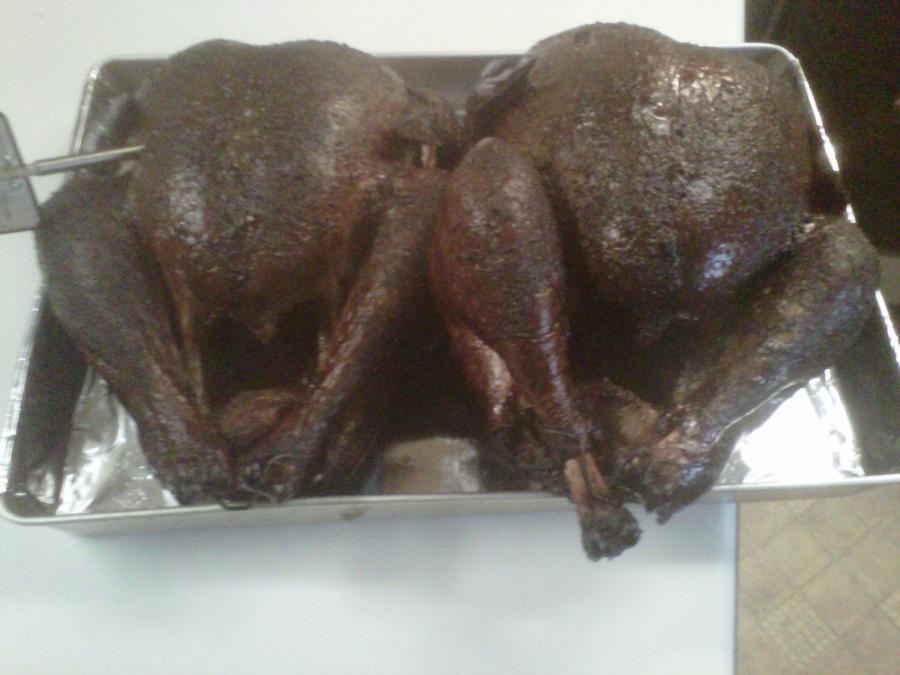 IMG00259-20101125-1051.jpg