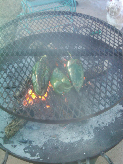 IMG00301-20111228-1650.jpg