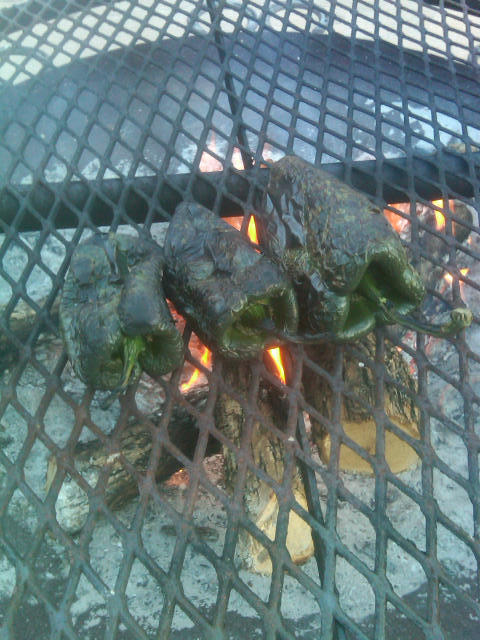 IMG00302-20111228-1706.jpg