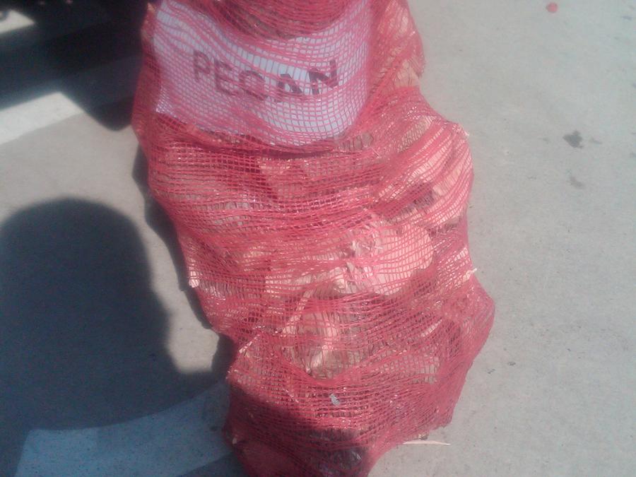 IMG00312-20110903-1148.jpg