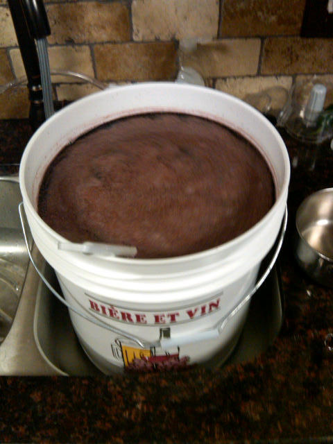 IMG00394-20120204-1446.jpg