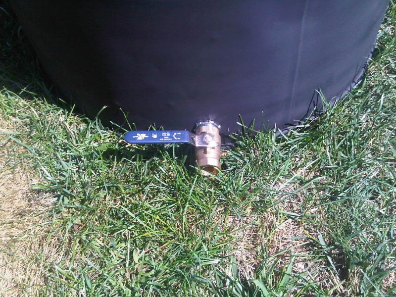 IMG00455-20100828-1145.jpg