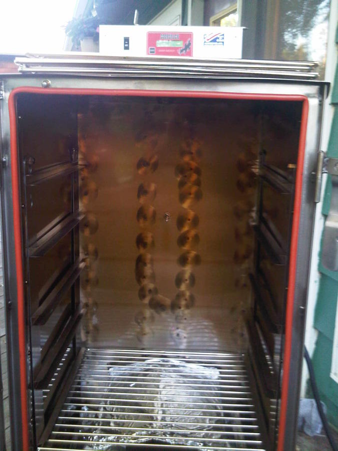 IMG00987-20110601-1944.jpg