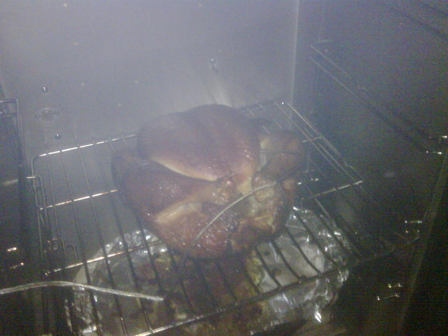 IMG01182-20101224-1530.jpg