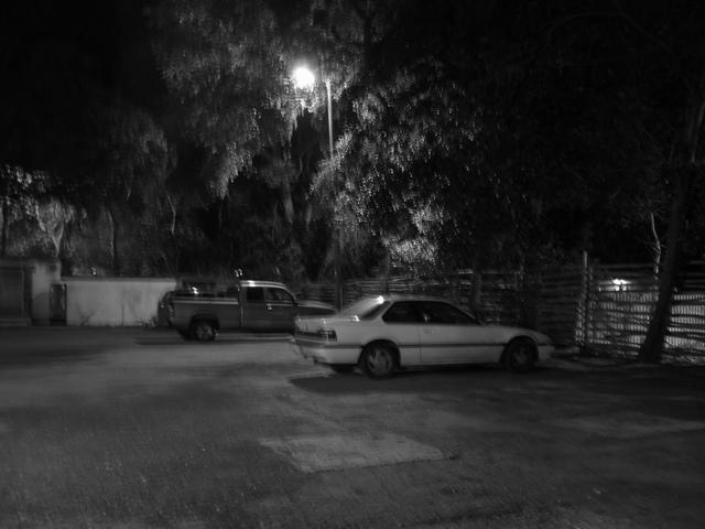 img3703ek.jpg
