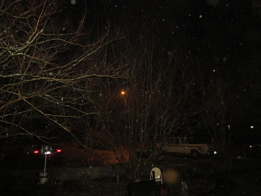 IMG_0182.JPG