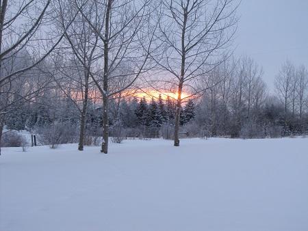 IMG_0463.JPG