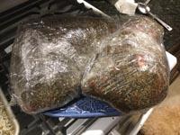 IMG_0485.jpeg