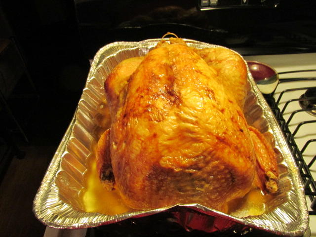 IMG_0545.JPG