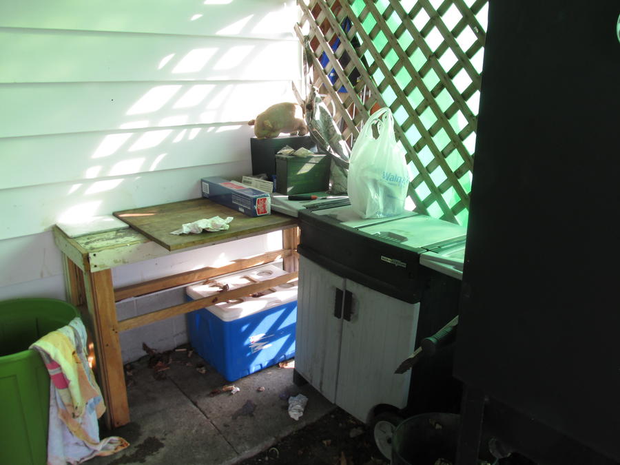 IMG_0569 - Copy - Copy - Copy - Copy.JPG