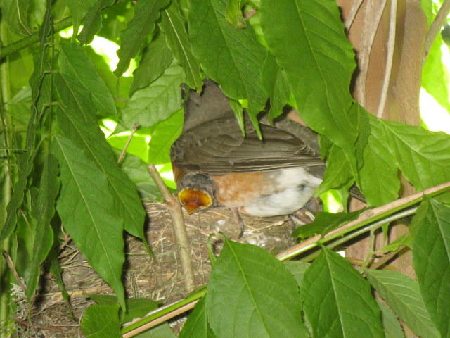 IMG_0991.jpg