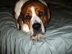 IMG_1215.JPG
