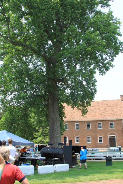 IMG_1724.JPG