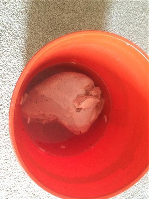 IMG_1754 (Small).JPG