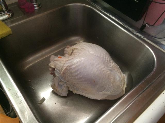 IMG_1755 (Small).JPG