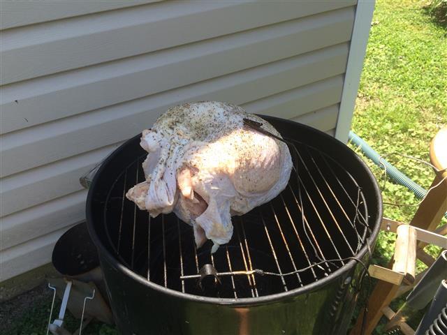 IMG_1756 (Small).JPG