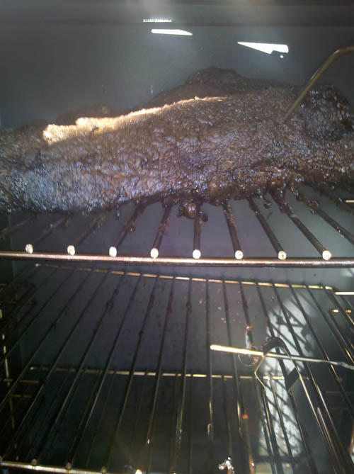 IMG_20100906_084125.jpg
